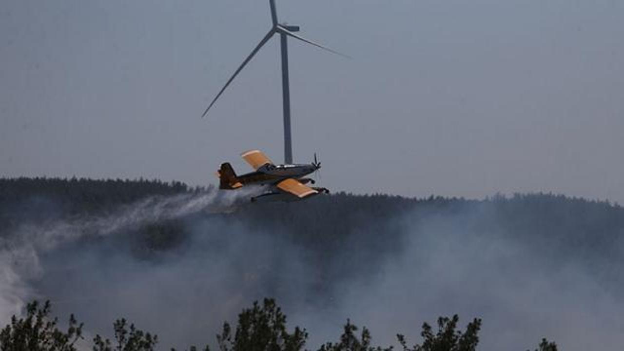 Bakanlıktan, Çanakkale'de yangında yanan ormanlık alanla ilgili açıklama geldi!