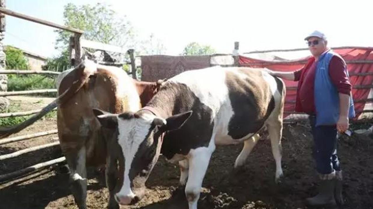 Katkının g&uuml;c&uuml;: Devlet desteği ile s&uuml;r&uuml; sahibi oldu!