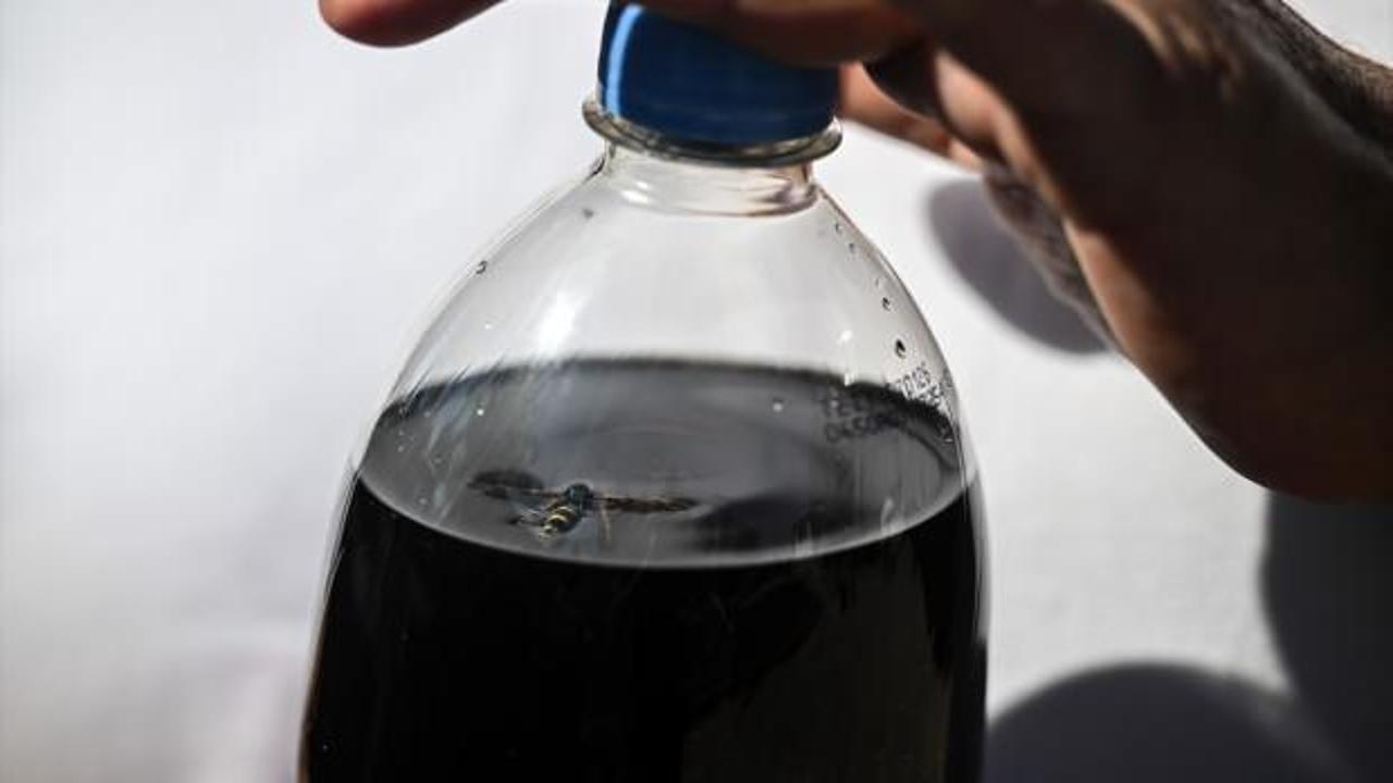 Koladan çıkan mide bulandırdı! 