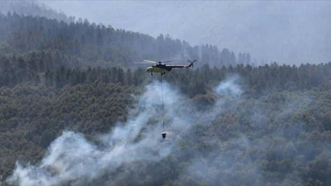 Orman yangınlarından etkilenen alanlarda avlanmak yasaklandı