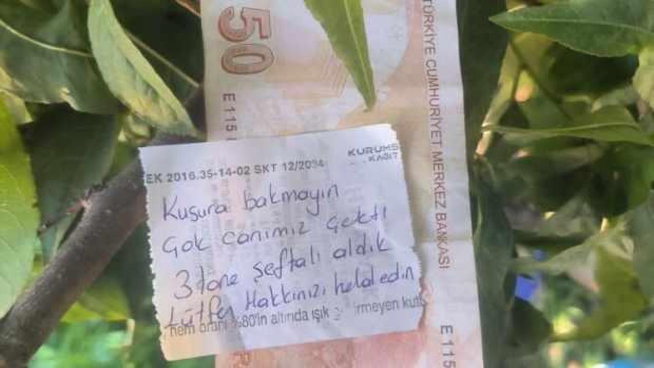 Şeftali ağacında duygulandıran not: 'İnsanlık ölmemiş' dedirtti!