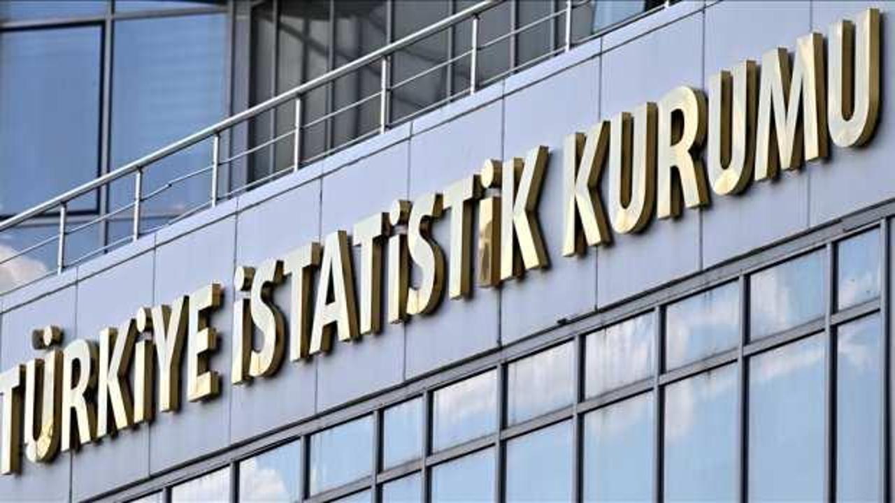 TÜİK, "Sosyoekonomik Seviye 2023" bültenini 18 Ağustos'ta yayımlayacak