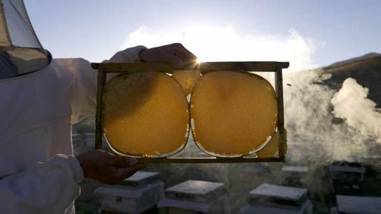 AB tescilli Bingöl balı ABD ve Orta Doğu'ya açılacak