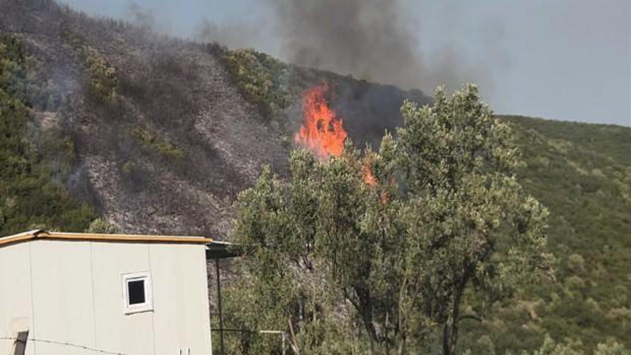 Bursa'da orman yangını soruşturmasında 1 gözaltı
