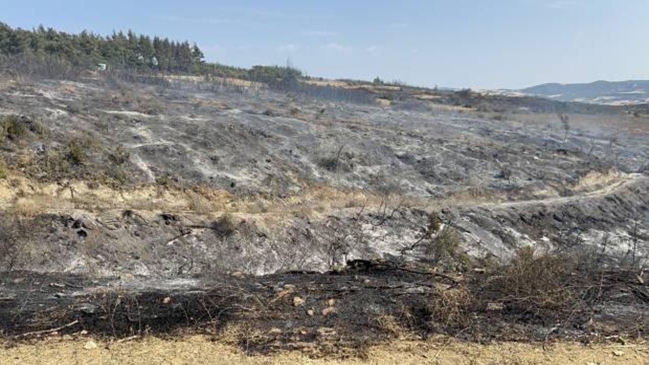 Çanakkale orman yangını kontrol altında