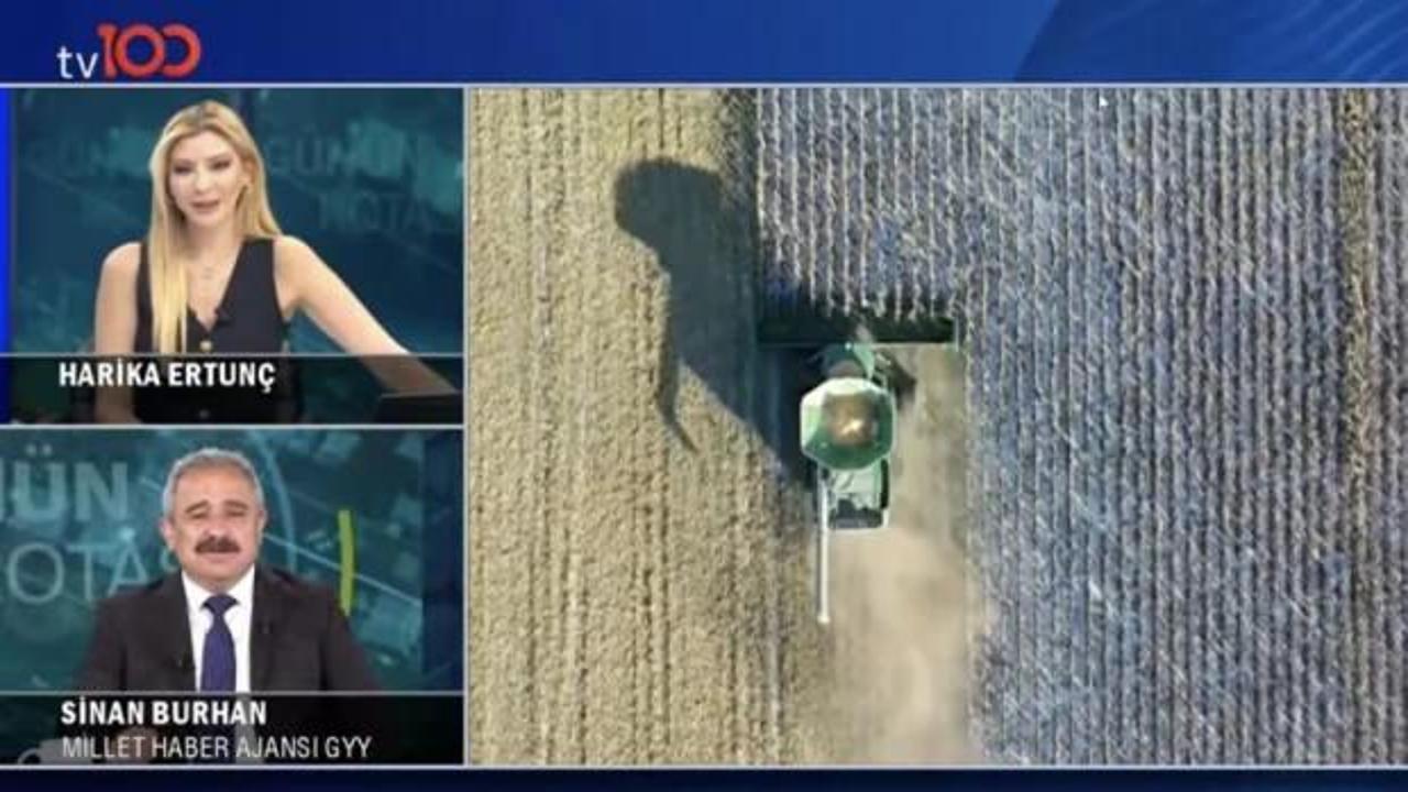 Canlı yayında g&uuml;ld&uuml;ren tartışma! 'Avokado yemezsem mutsuz olurum' 