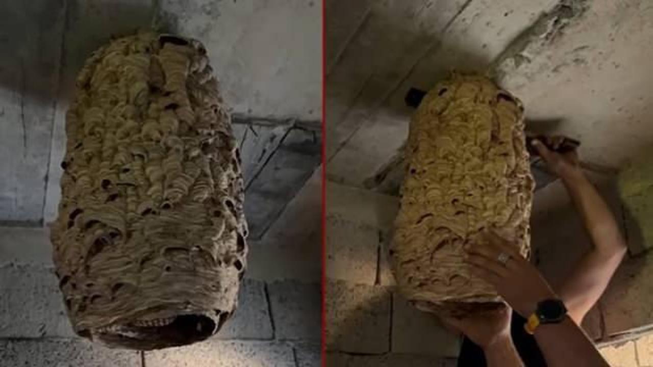 Evin deposunda buldular! Mahalleli bile inanamadı