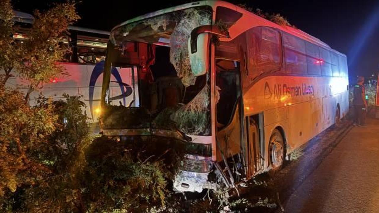 Kayseri'de yolcu otobüsü refüjdeki ağaçlara çarptı