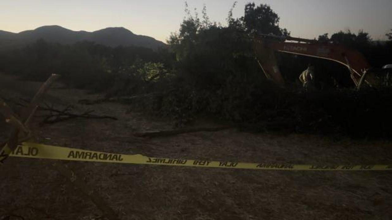 Korkunç ölüm! Devrilen ağacın altında kaldı