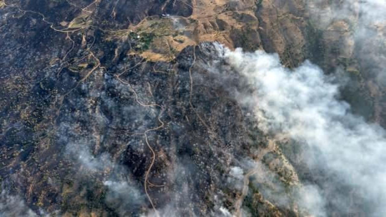 Malatya'da orman yangını: Havadan ve karadan müdahale ediliyor