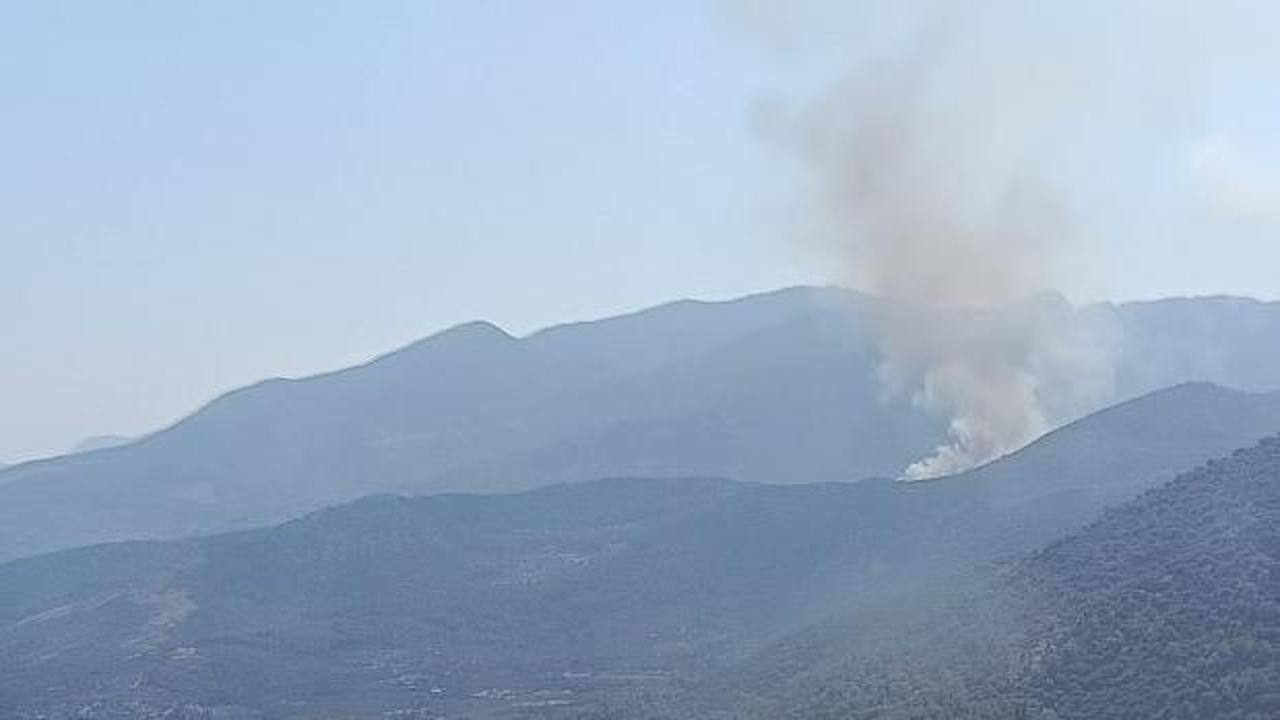 Üç ilde orman yangını! Bir anda büyüdü!