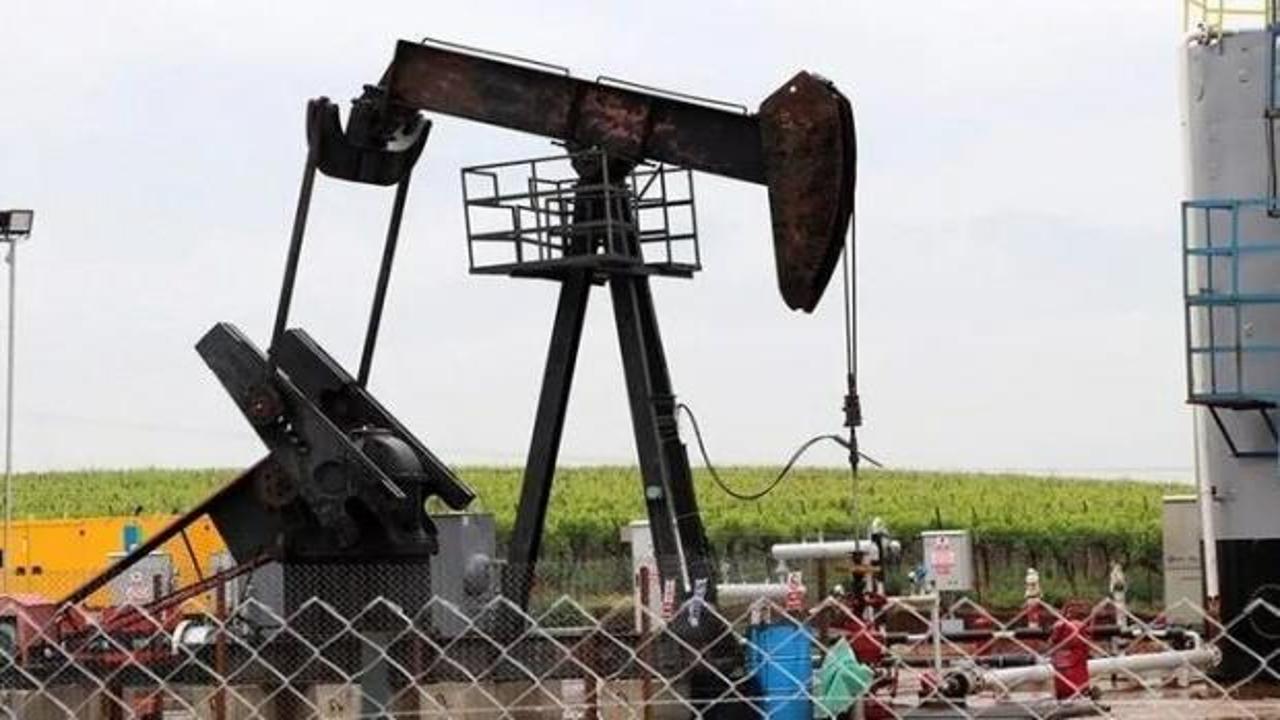 Petrol hakkına müteallik karar