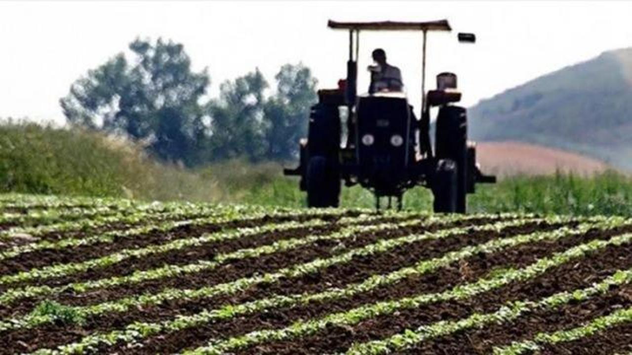 Tarımsal girdi fiyat endeksi haziranda arttı