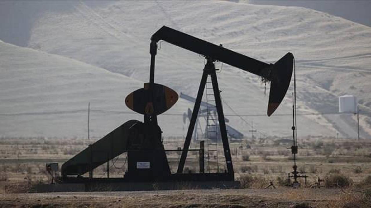 ABD'nin petrol sondaj kulesi sayısı arttı