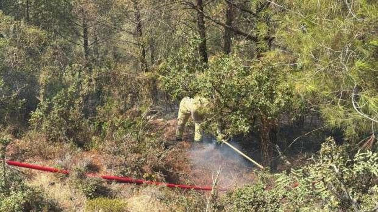 Adana'da orman yangını kontrol altına alındı
