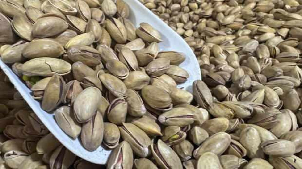 Bakanlıktan fıstık sektörüne denetleme