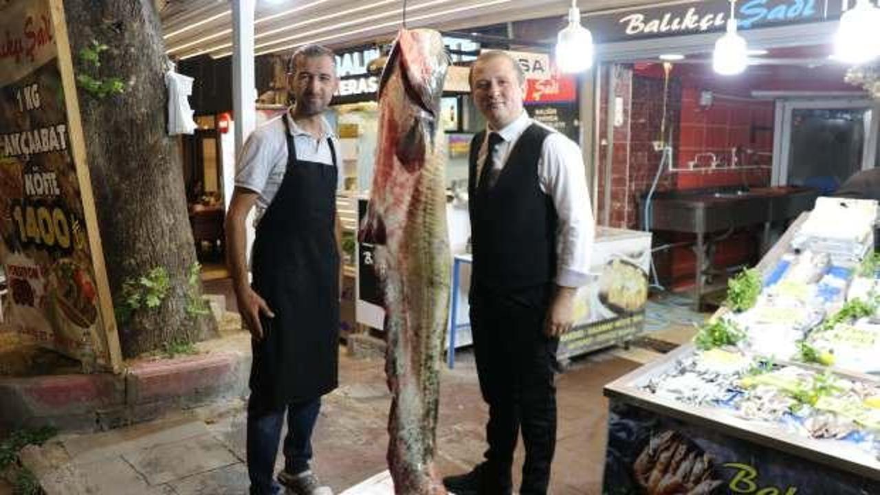 Böylesi ilk kez görüldü! Tam 2 metre 20 santim...