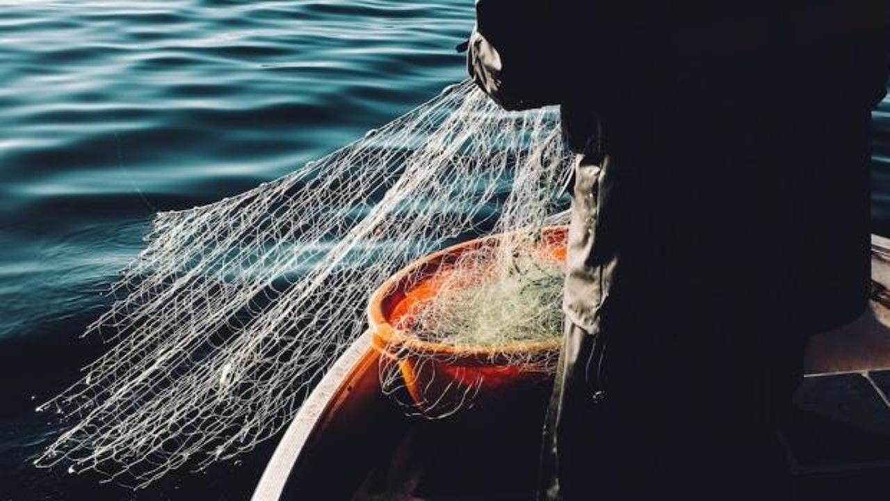 Denizlerde rekor sıcaklık! Av sezonu etkileniyor