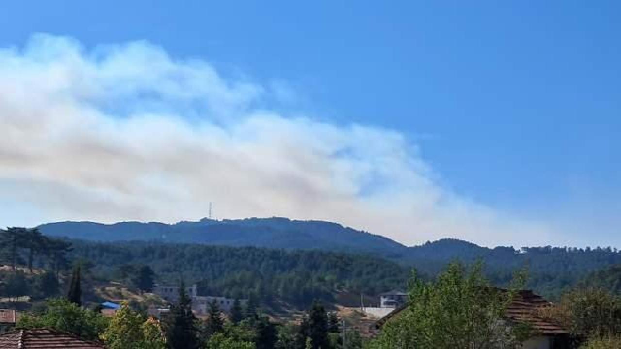 Denizli'de d&uuml;n &ccedil;ıkan orman yangını s&uuml;r&uuml;yor