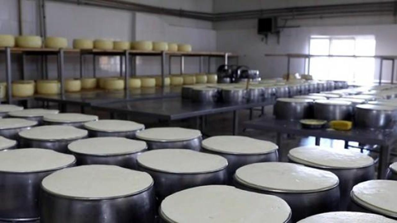 Kırklareli'nde üretilen süt ürünleri 17 ülkede sofralara lezzet katıyor
