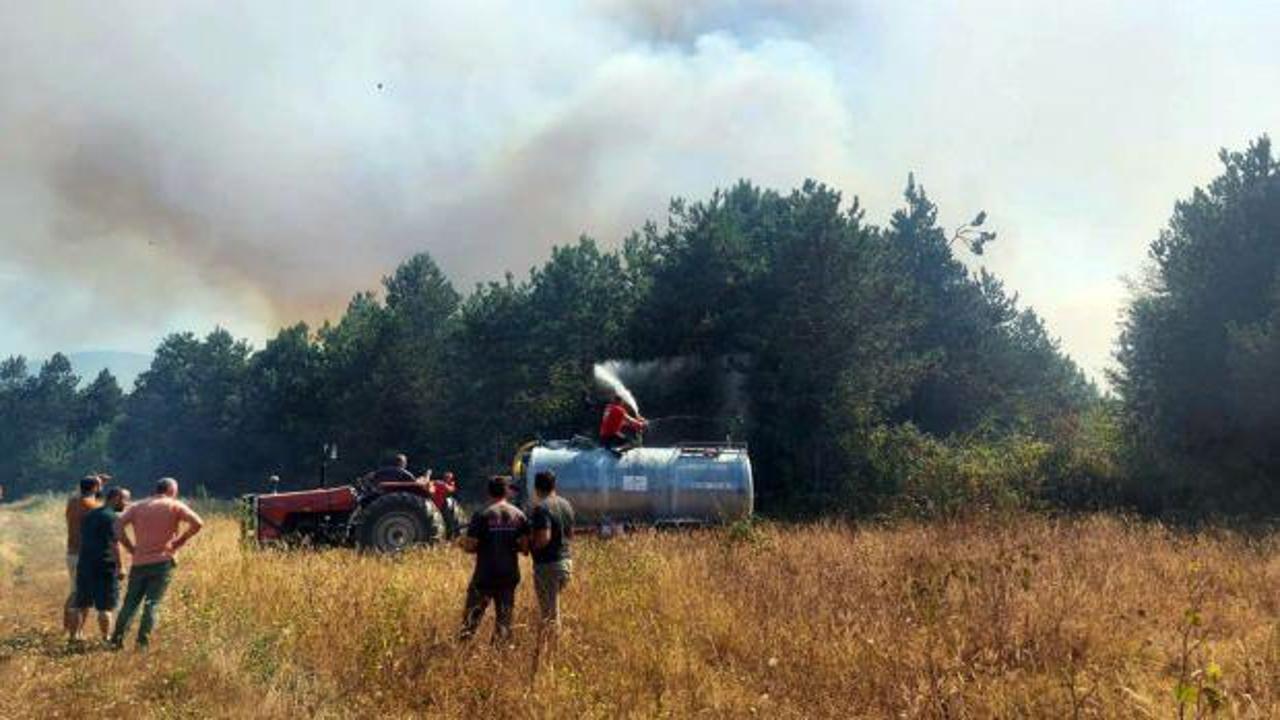 Sakarya'da orman yangını! Çok sayıda ekip sevk edildi