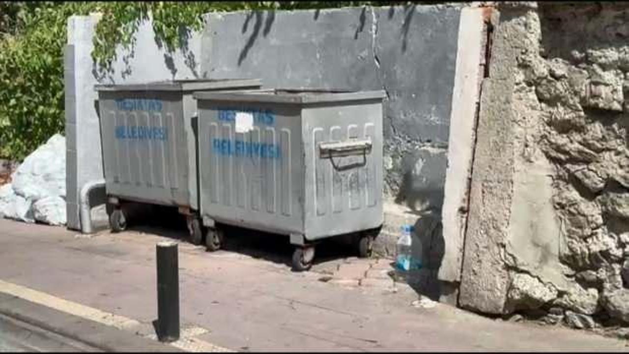 Çöpte bebek cesedi bulunmuştu: Anne ile ilgili korkunç detaylar...