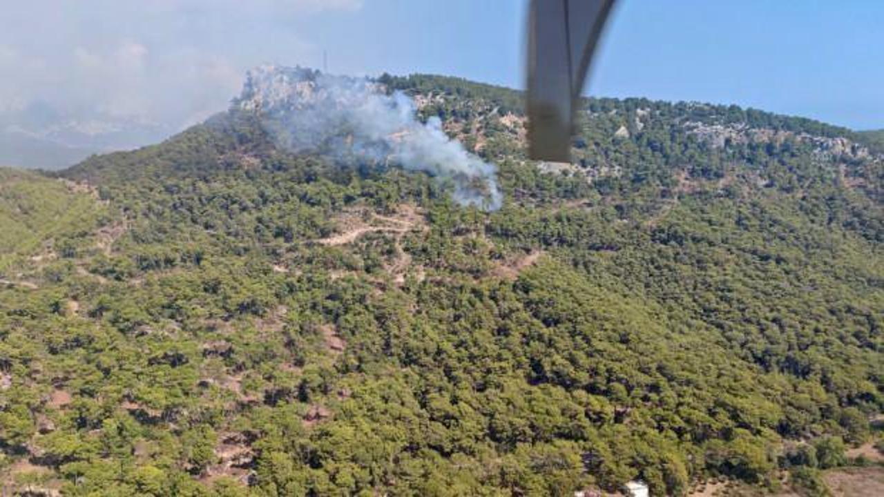 Antalya'da orman yangını