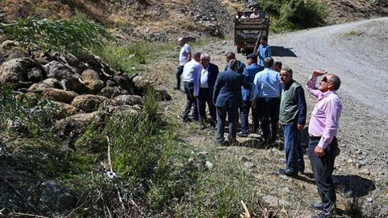 Besicileri perişan eden manzara! 334 küçükbaş hayvan telef oldu