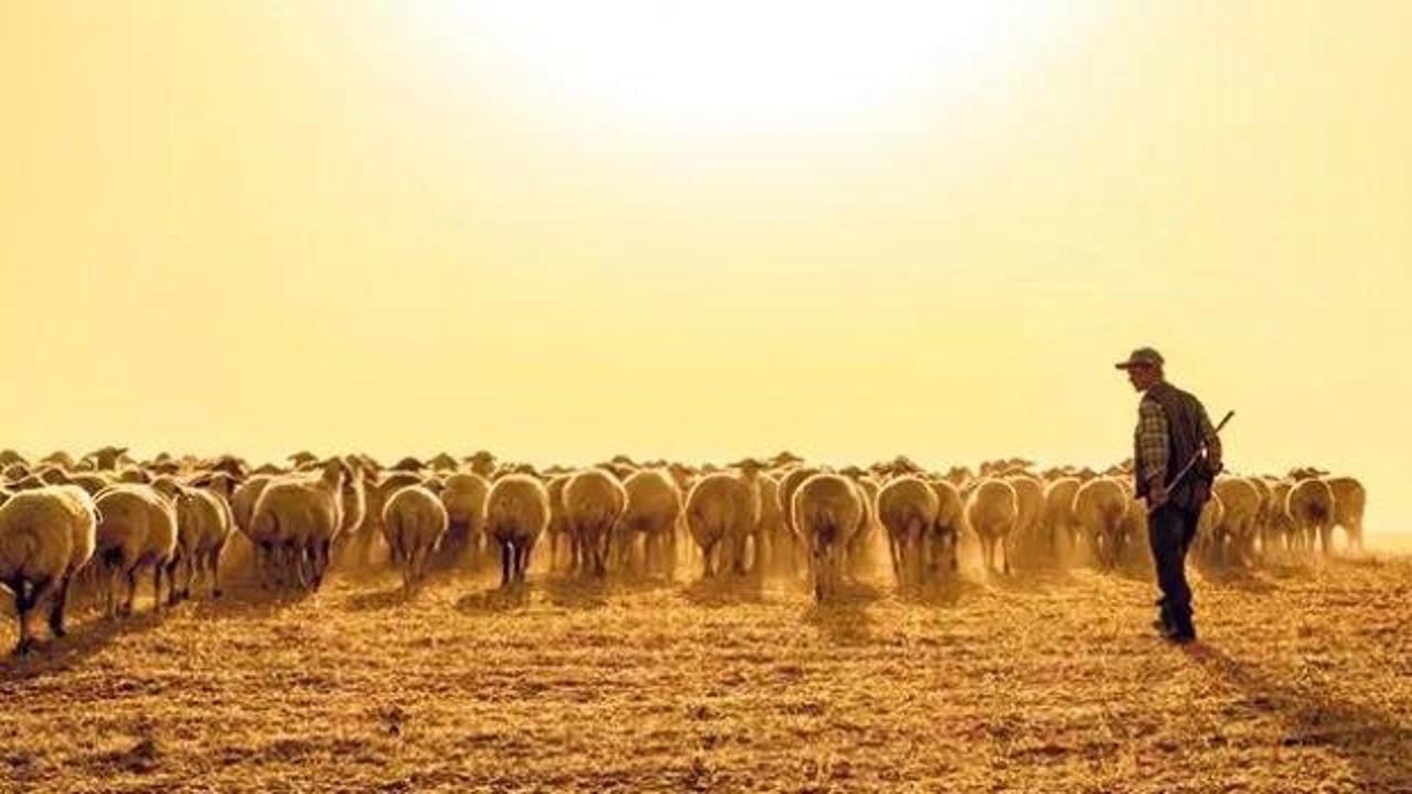 Bu meslek artık altın değerinde! Maaşlar 130 bin TL'ye kadar y&uuml;kseldi
