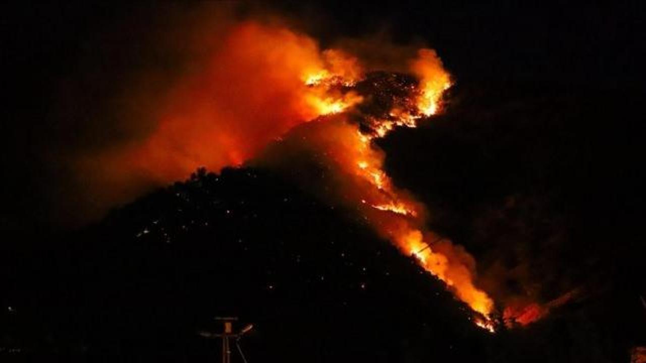 Hakkari'de orman yangını