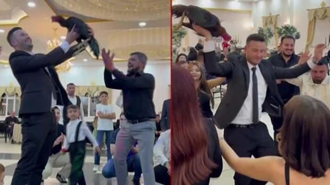 Yok böyle düğün! Damada verilen ilginç hediyenin değeri 250 bin TL