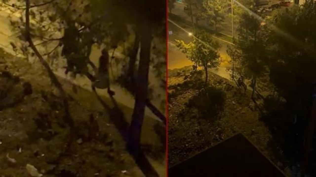 Diyarbakır’da husumet kavgası can aldı: Olayla ilgisi olmayan kişi öldü!