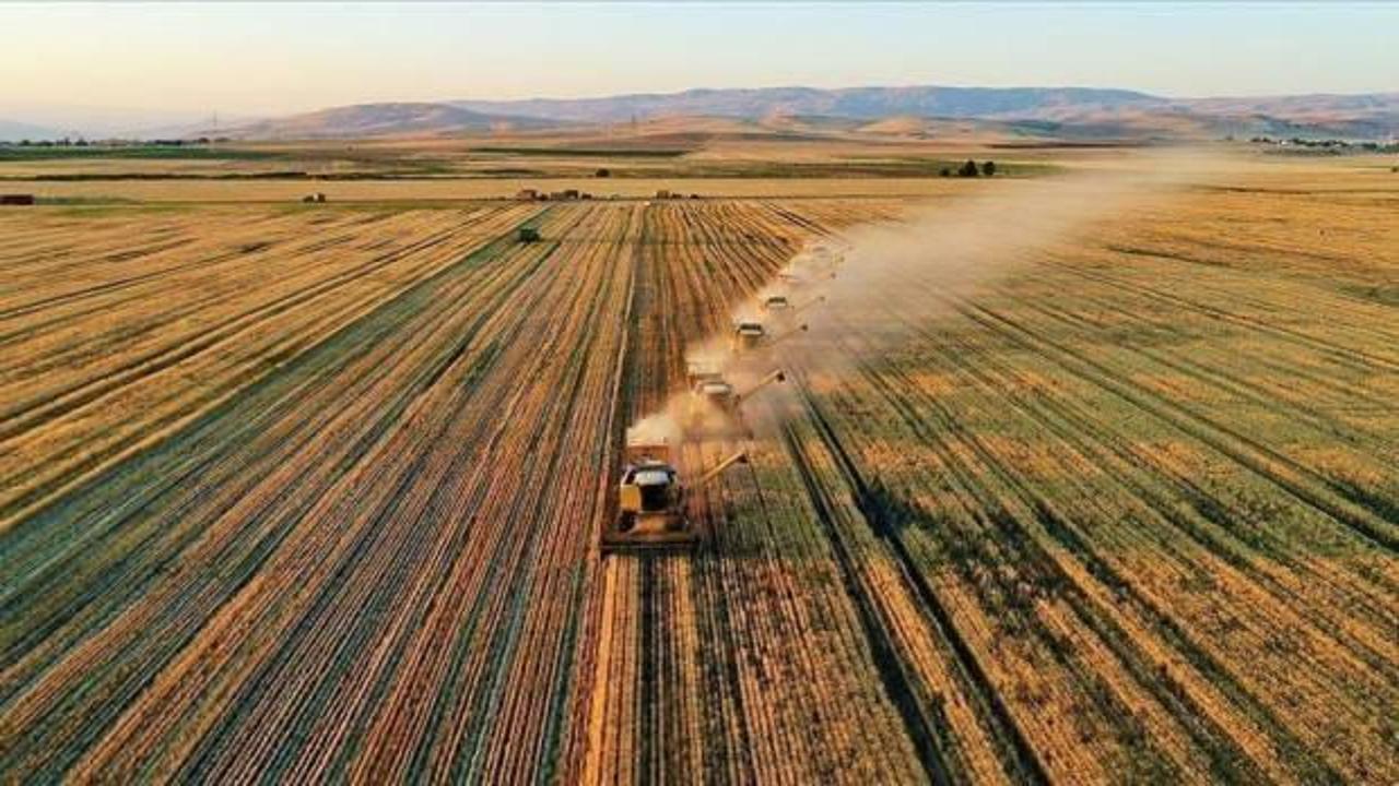IPARD III kapsamında geçen ay girişimcilere 597,6 milyon lira hibe ödendi
