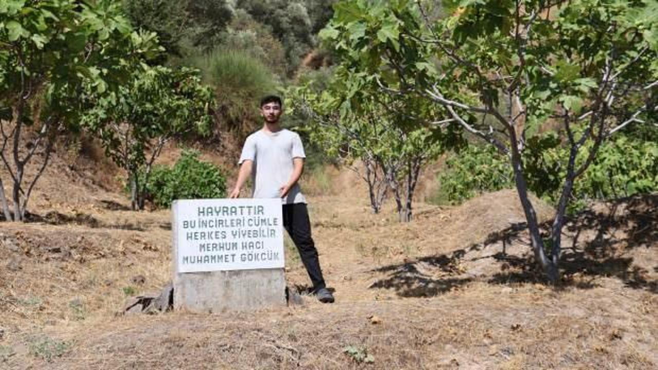 Mezar taşı sandılar, incir hayratı çıktı