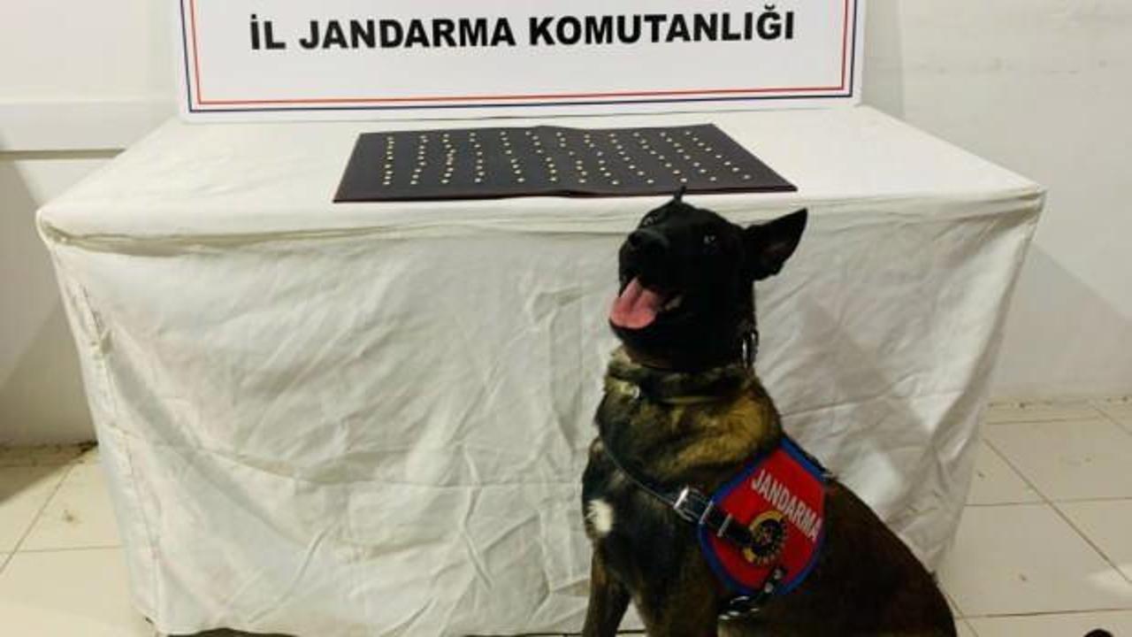 Şanlıurfa'da uyuşturucu operasyonu: 42 gözaltı