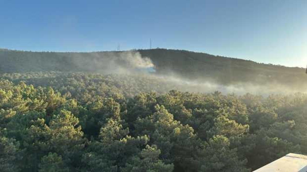 Son dakika: Kayışdağı Ormanı'nda yangın çıktı!