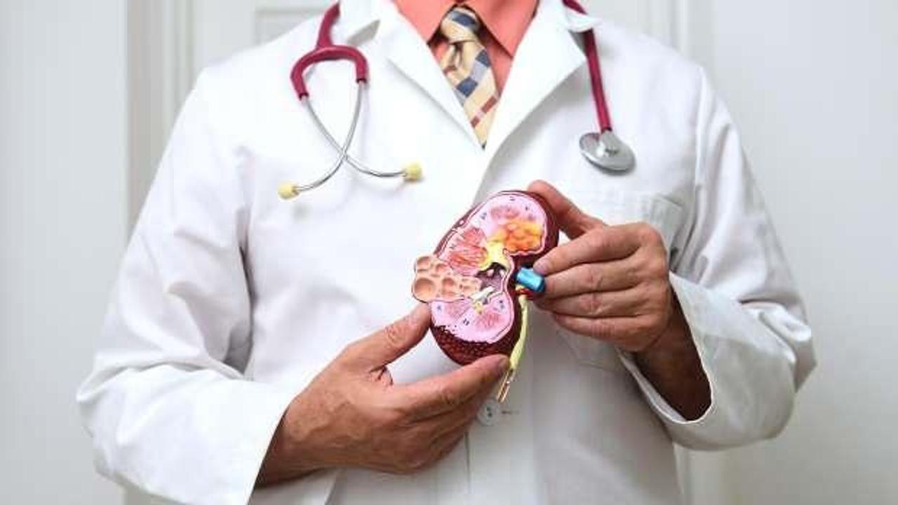 Tıp tarihinde bir ilk: Böbrekleri kurtaracak MikroRNA buldu