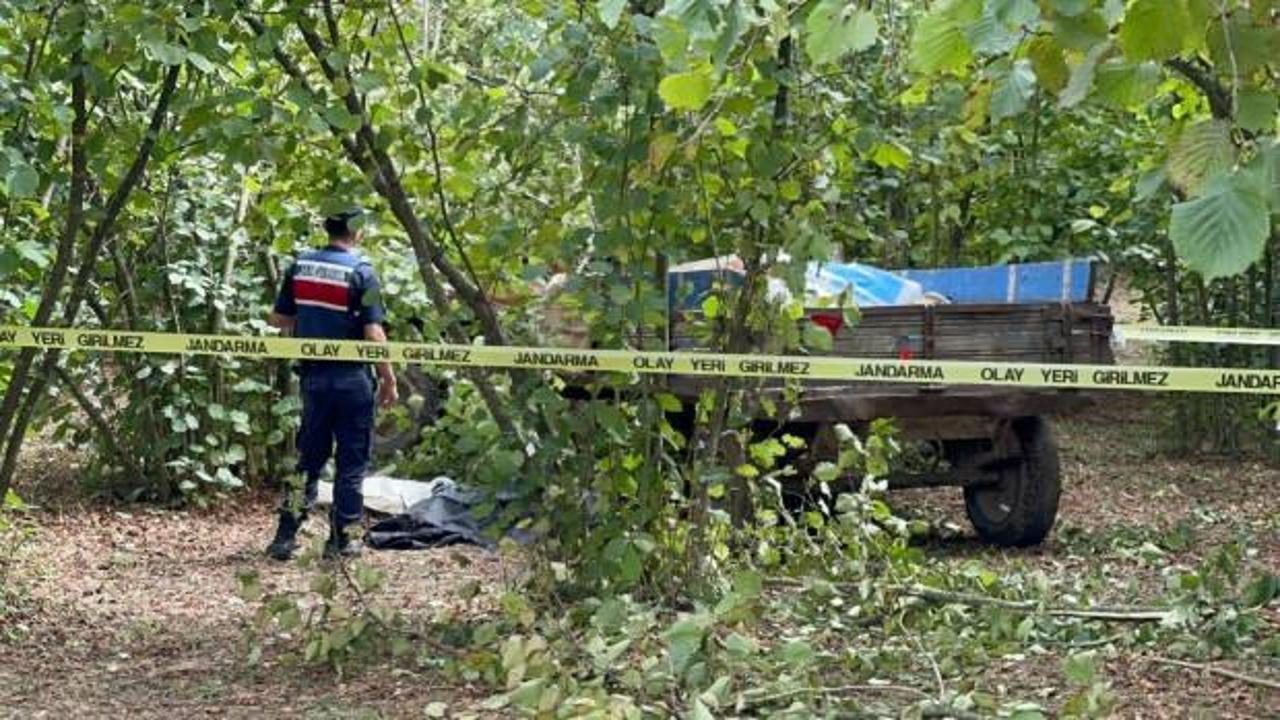 89 yaşındaki adamın acı &ouml;l&uuml;m&uuml;: Trakt&ouml;r tekeri ile ağa&ccedil; arasına sıkıştı!