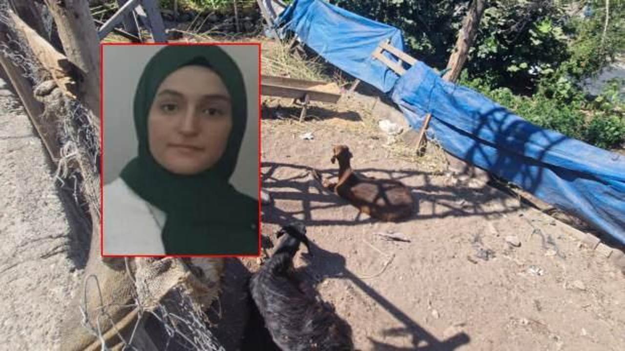 Diyarbakır'da kahreden olay: Yerde yatan keçiye dokunan Pervin can verdi!