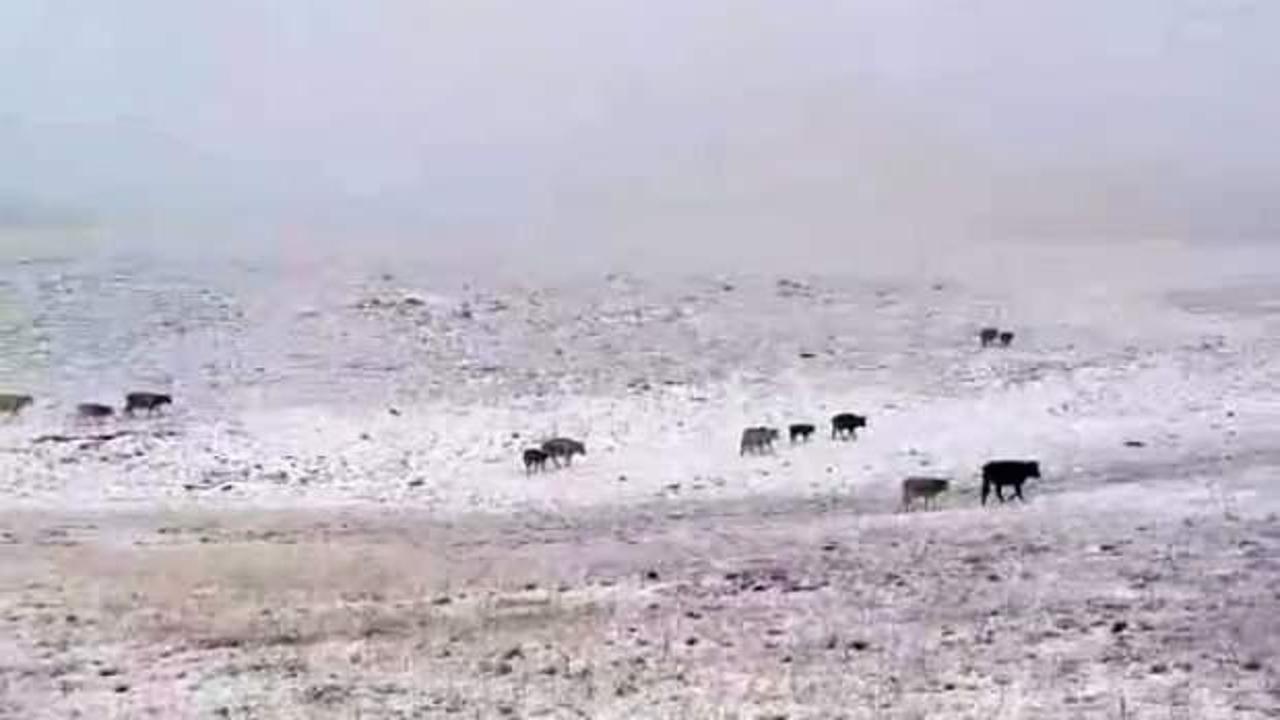 Erzurum'a mevsimin ilk karı yağdı