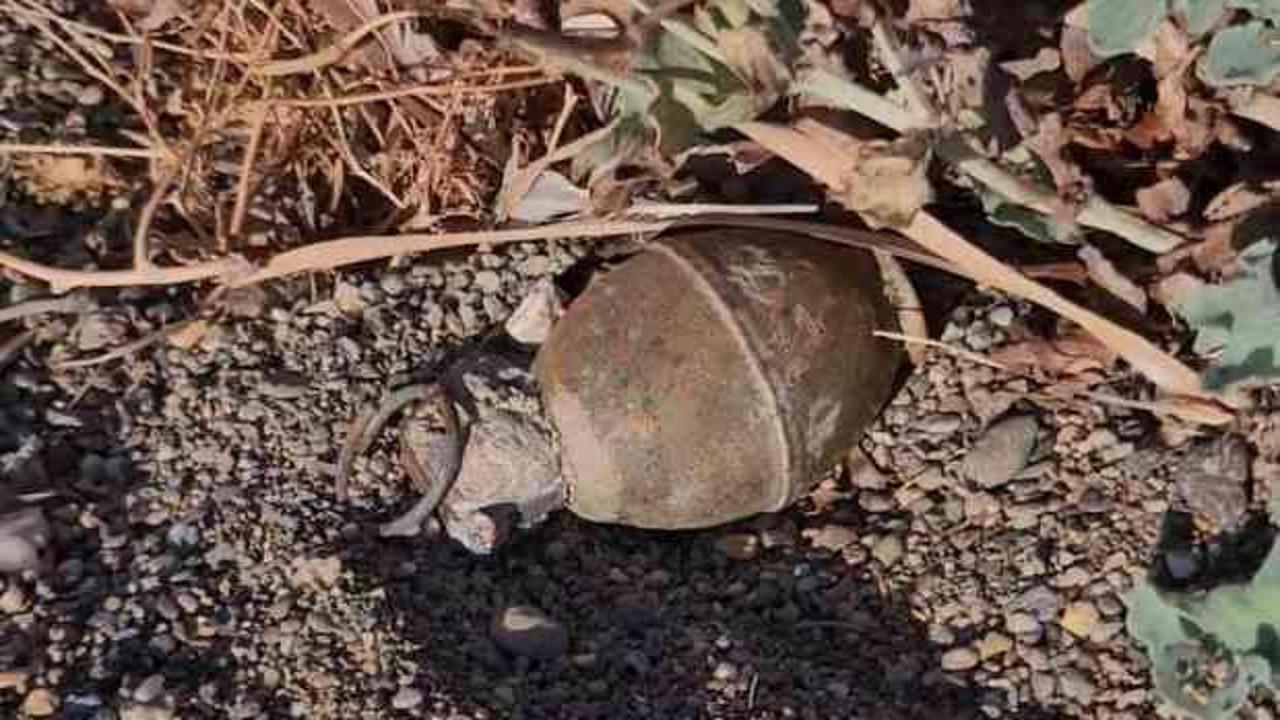 İznik Gölü kıyısında el bombası paniği