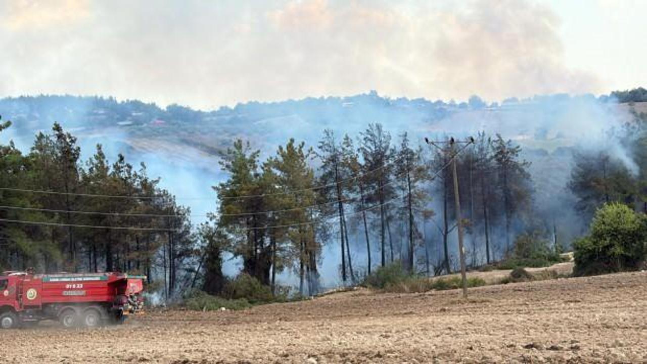 Osmaniye'de orman yangını!