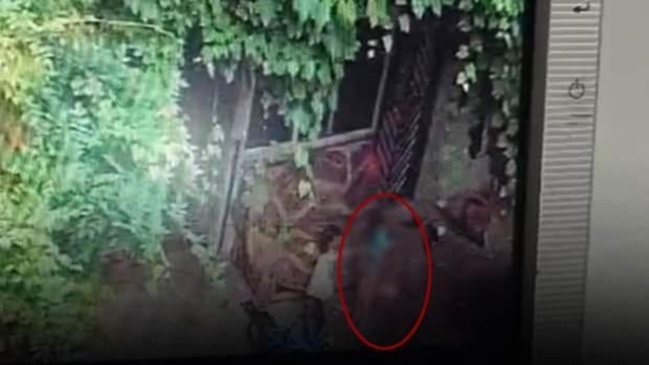 Samsun'da acı olay! Salıncak ipini boynuna dolayan 3 yaşındaki çocuk öldü