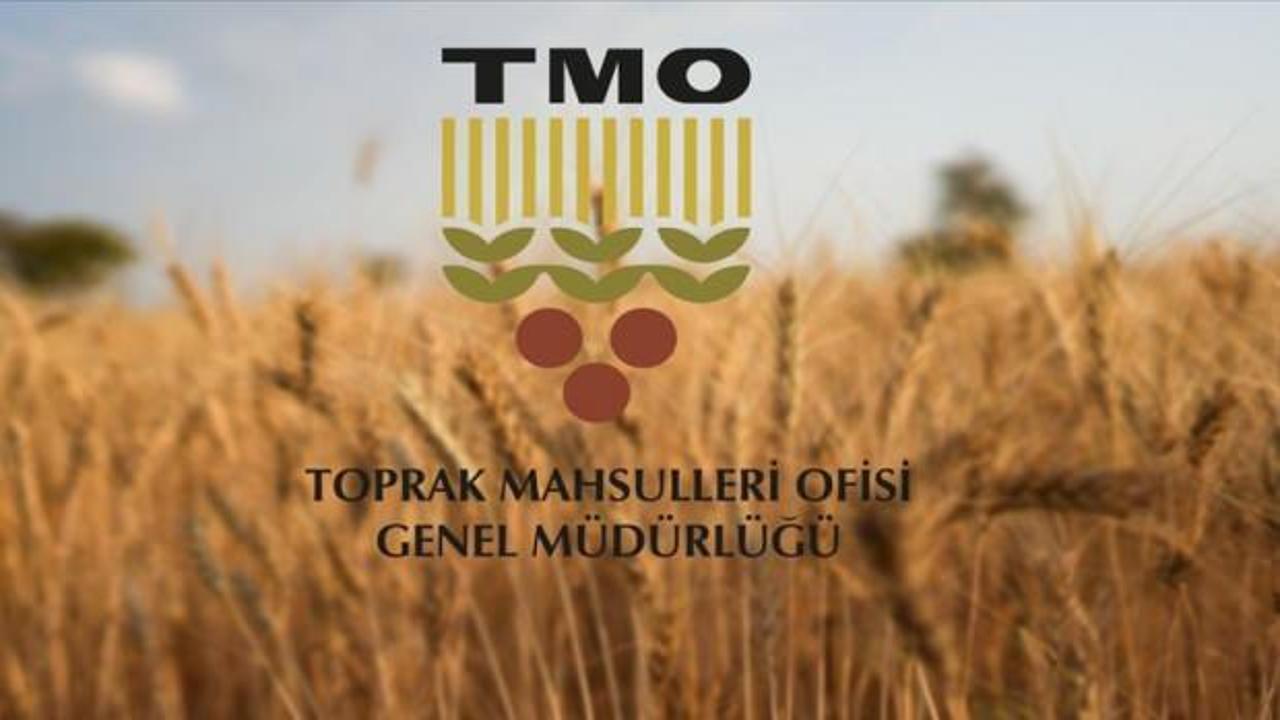TMO, ürün bedeli olarak yaklaşık 3,6 milyar lirayı üreticilerin hesaplarına yatırdı