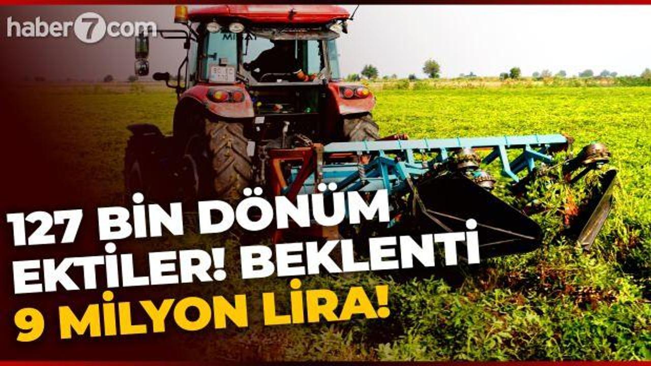 127 bin dönüme ektiler: 9 milyon lira gelir bekliyorlar