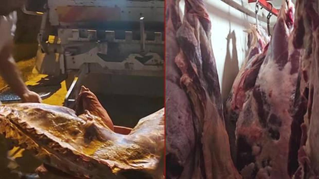Bakanlıktan Kayseri'de gıda denetimi: 1,5 ton et imha edildi!