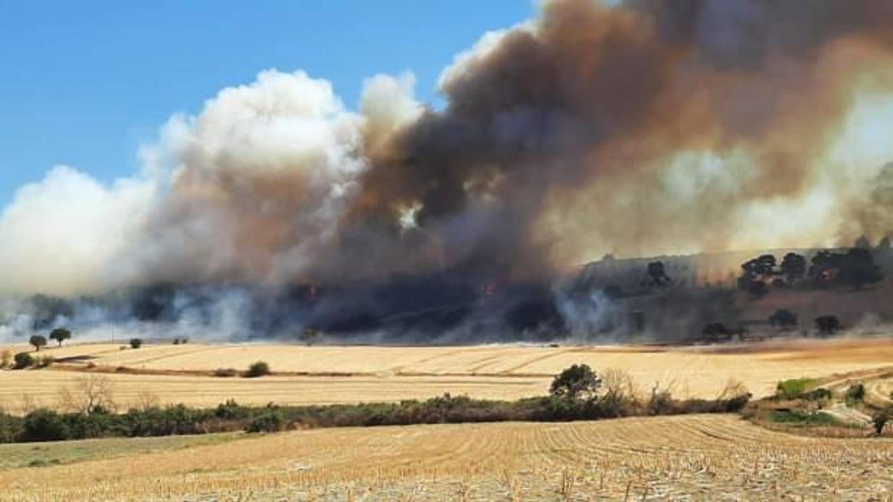 &Ccedil;anakkale'de orman yangını