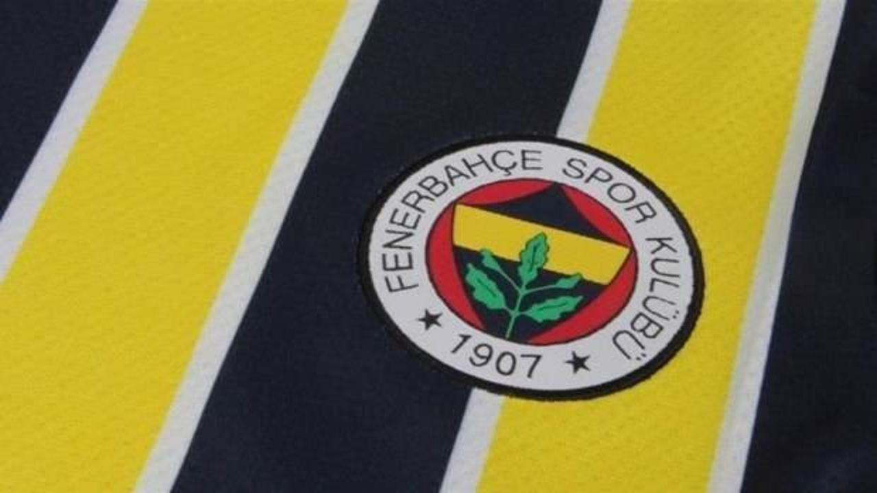 Fenerbahçe'nin iki yeni transferi antrenmana çıktı
