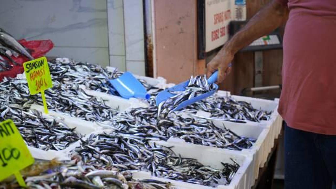 Karadeniz'in incisi hamsi tezgahlarda: Ne alırsan 100 TL