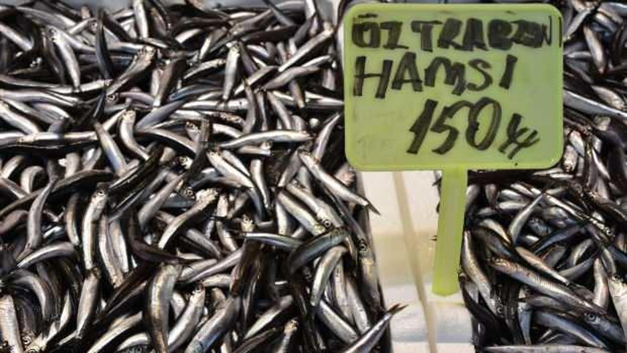 Trabzon'da hamsi ve istavrit 150 liradan satışa sunuluyor